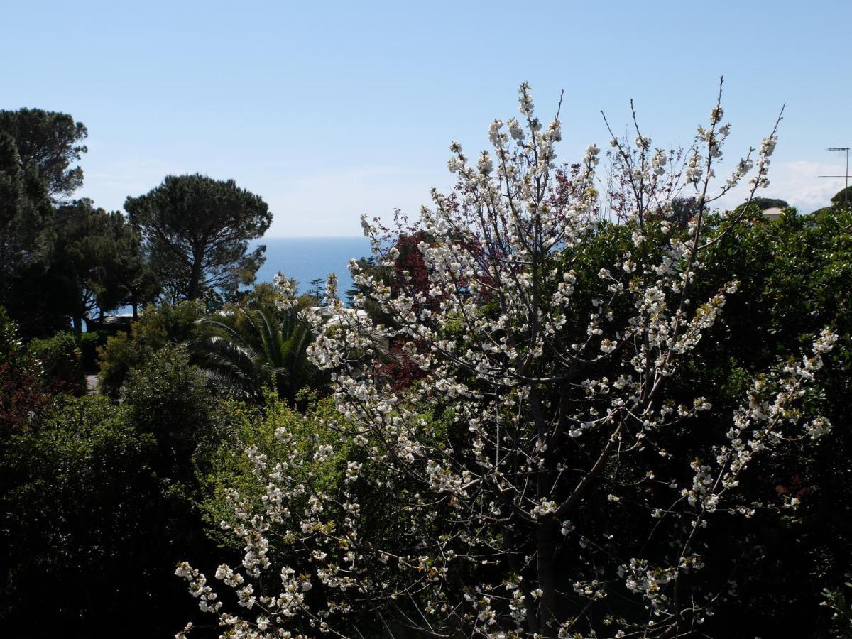 B&B Verde Sul Mare Arenzano Esterno foto